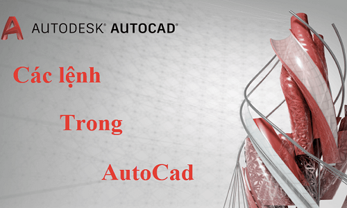 Tổng hợp các lệnh cơ bản trong Cad dành cho người mới 2023 6 cac lenh co ban trong cad dellfcvietnam