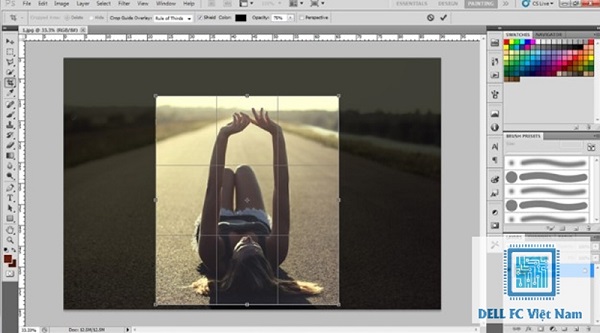 cach cat ghep anh trong photoshop dellfcvietnam 2
