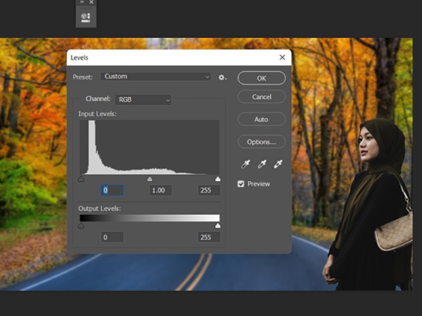 Hướng dẫn cách thay Background trong Photoshop đơn giản 6 thay background trong photoshop dellfcvietnam 6