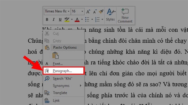 3 Cách Thụt Đầu Dòng Trong Word Đơn Giản Nhất 2024 3 thut dau dong trong word dellfcvietnam 2