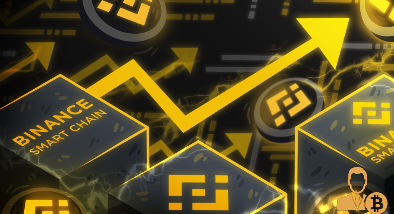 Tìm hiểu về Binance Smart Chain là gì? Tổng quan về BSC 2 binance smart chain 2