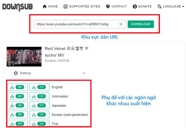 5+ Cách Tách Sub Ra Khỏi Video Đơn Giản Nhất 2025 2 cach tach sub ra khoi video bang downsub congngheaz