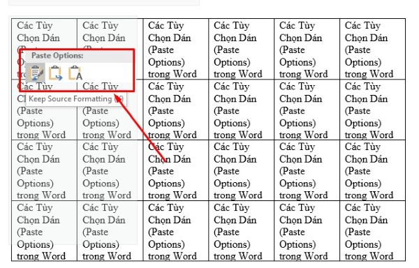 3+ Cách Copy Bảng trong Word Đơn Giản & Nhanh Chóng Nhất 4 cach copy bang trong word congngheaz 2