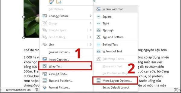 5+ Cách Chèn Ảnh Vào Word Nhanh Chóng, Dễ Dàng Nhất 2025 3 cach dinh dang va bo cuc anh sau khi chen anh vao word congngheaz