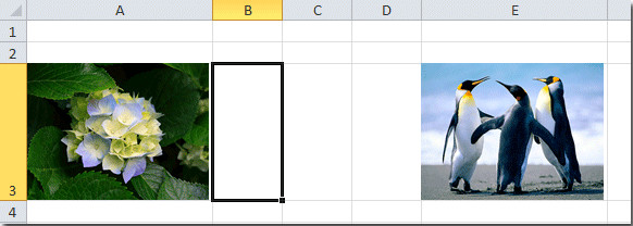 5 Cách Chèn Ảnh Vào Excel Cực Đơn Giản Cho Người Mới 1 cach chen anh vao excel congngheaz 1